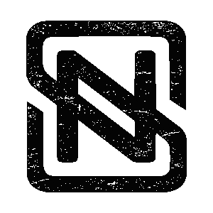 NS Logo
